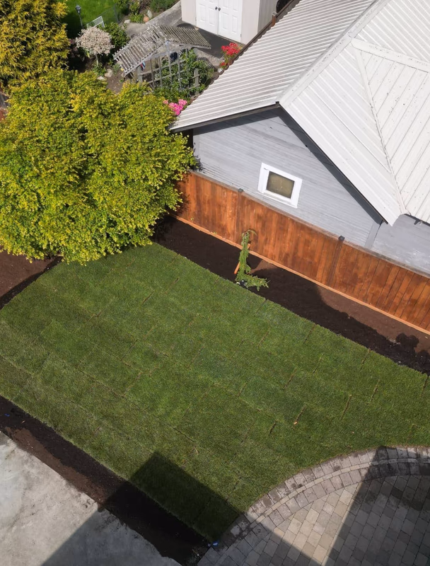 Aerial view of a new lawn in Anacortes, WA