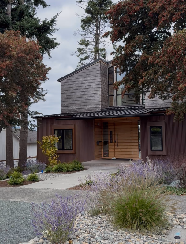 Front yard landscaping with lavender in Anacortes, WA