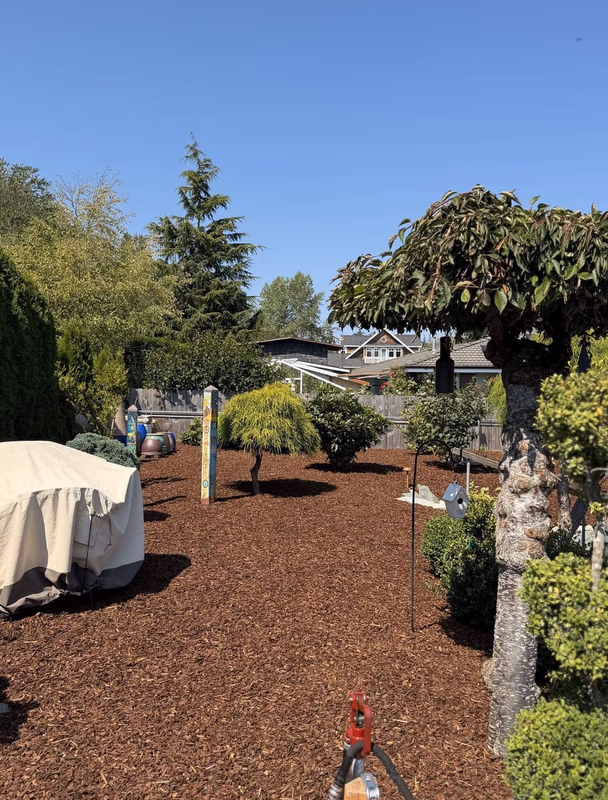 Mulched garden beds and trees in Anacortes, WA